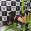 maquina de cuádriceps y femoral Fithouse